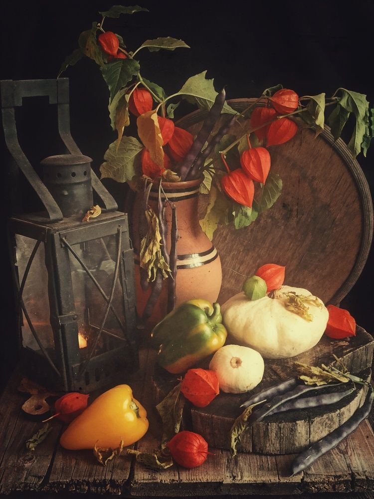 Photograph by Новикова Елена Сергеевна