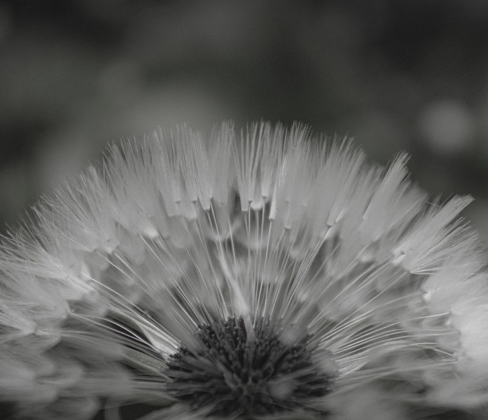 Photograph by Кристина Полякова