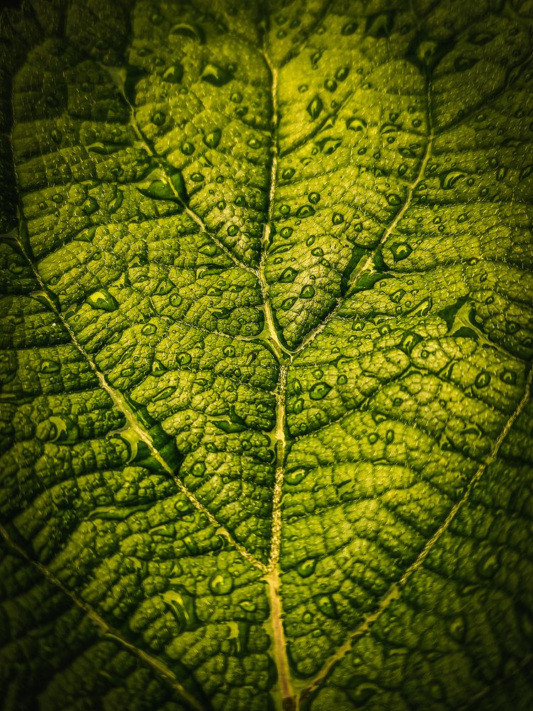 Photograph by Кристина Полякова