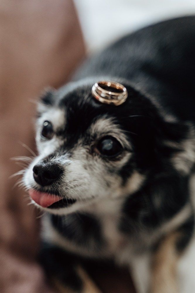 Photograph by Диана Семенова