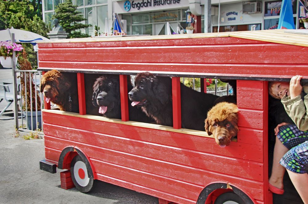 Кондуктору места нет