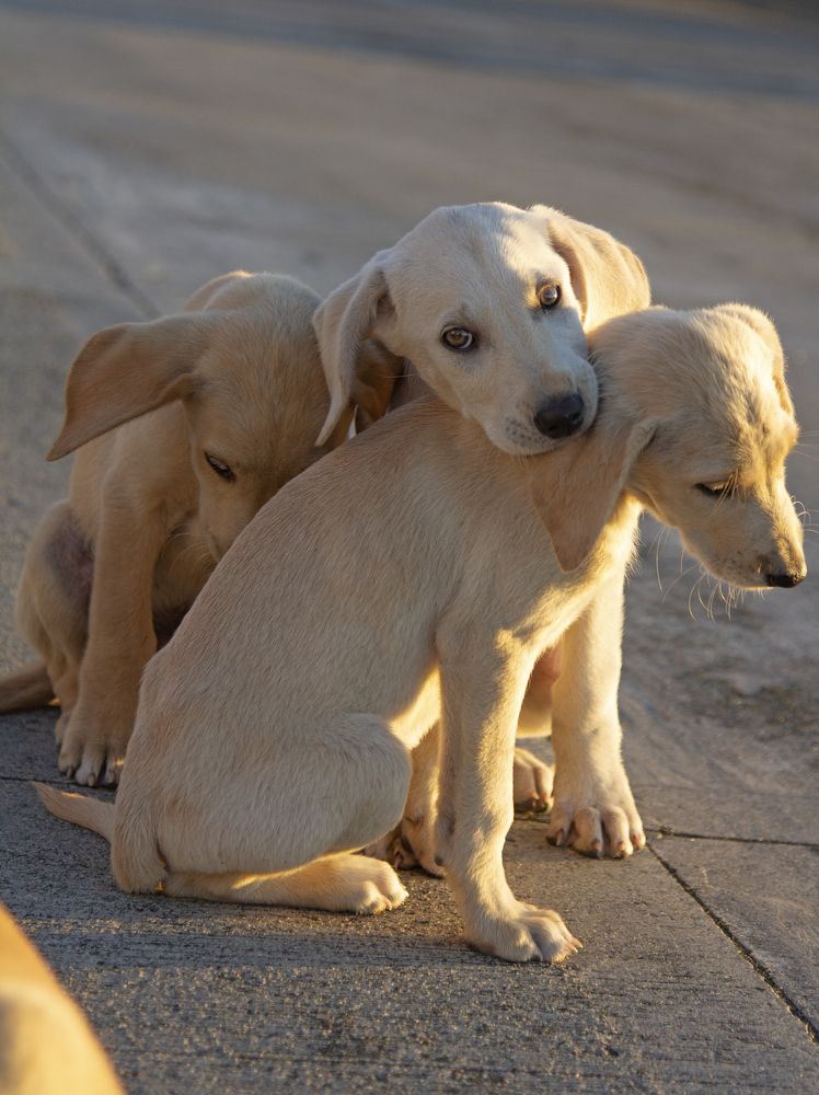 Photograph by Анастасия Северюхина