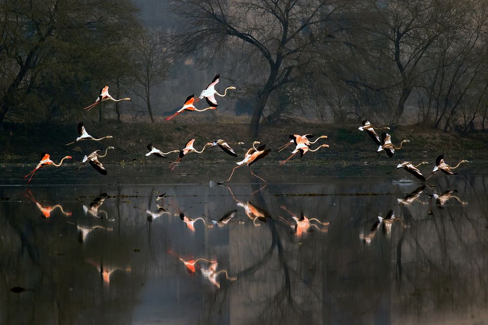 Photograph by Navjot Singh