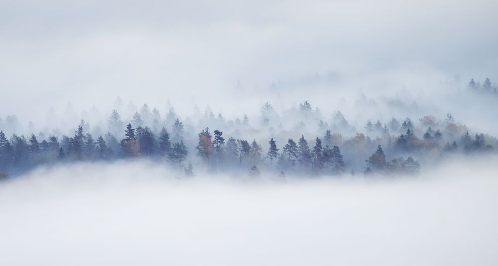 Photograph by Alain Veldin