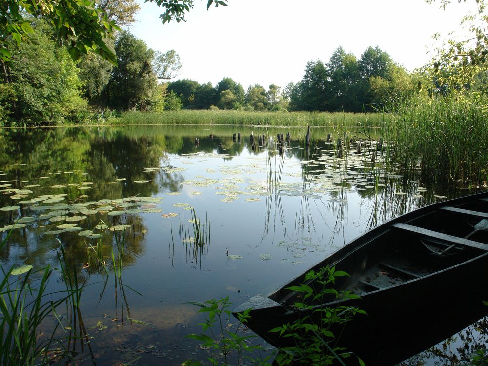 Photograph by Игорь Шевердин