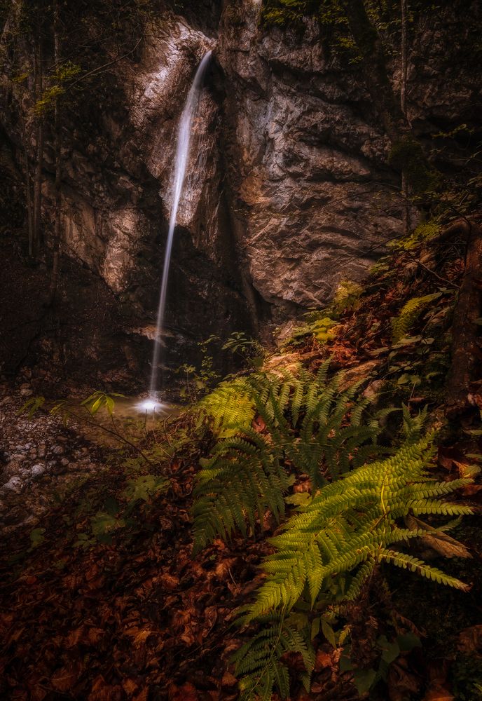 Photograph by Alain Veldin