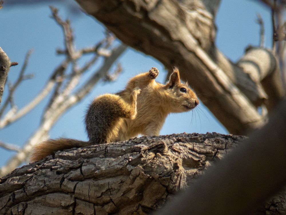 Photograph by sadegh alavi