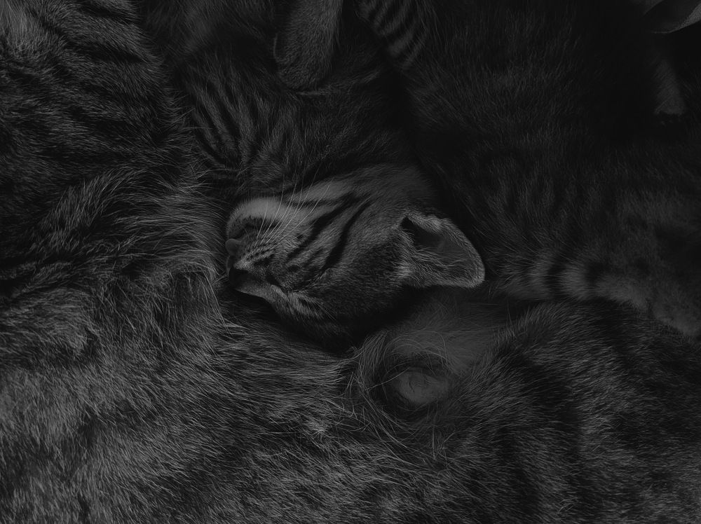 Photograph by Abhiraj Bhosale