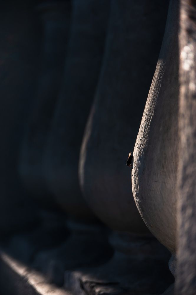 Photograph by Алексей Патрушев