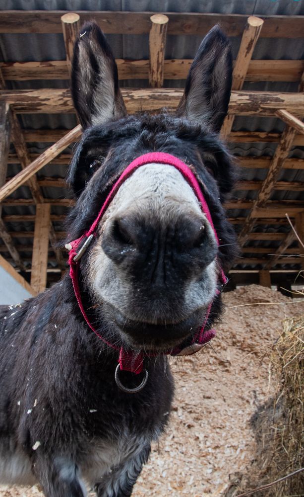 Photograph by Ольга Александрова