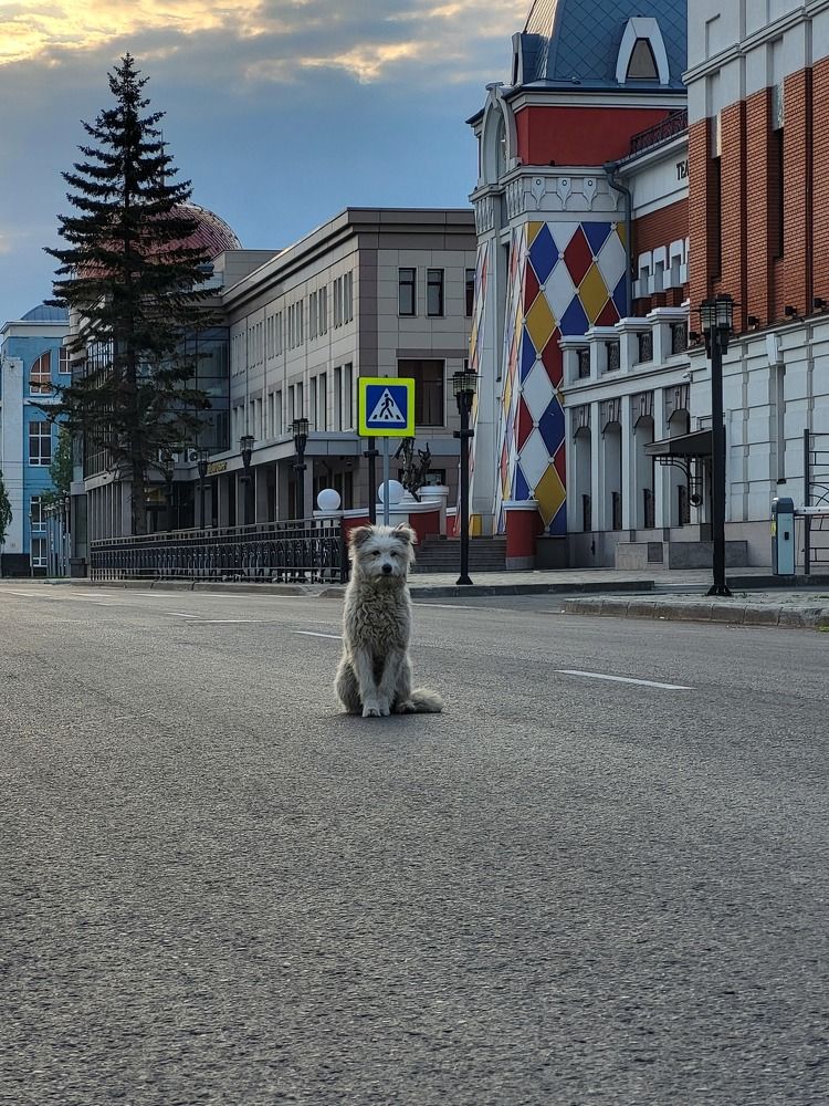 Photograph by Pavel Vorobev