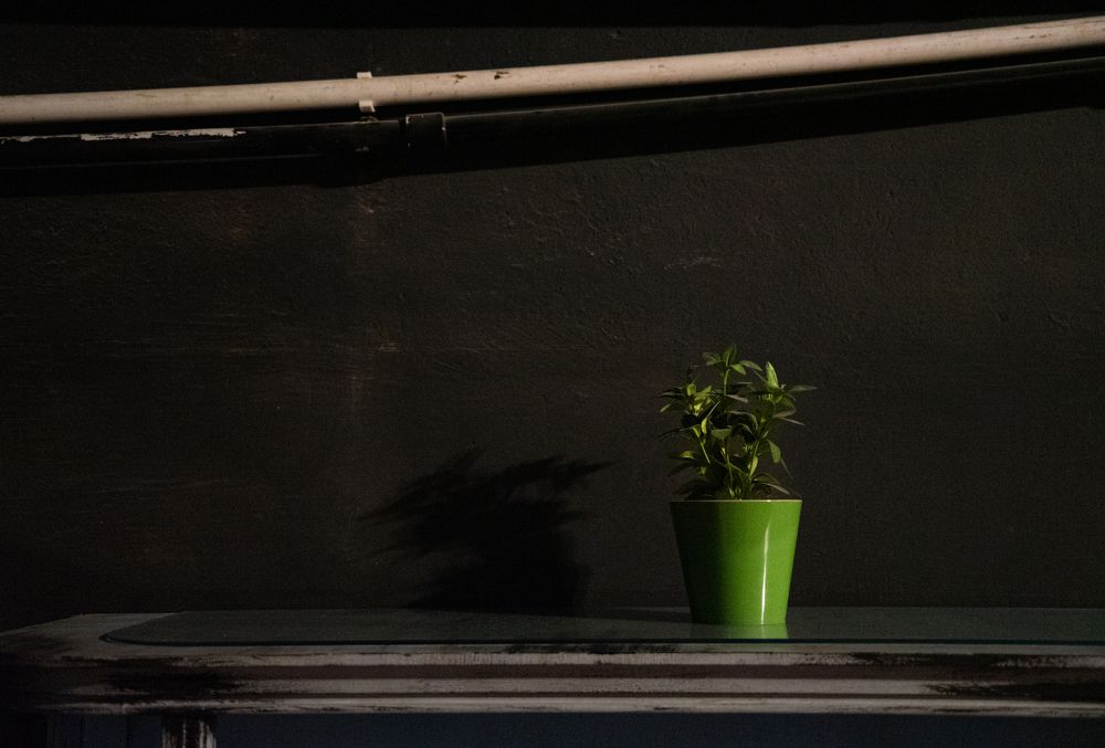 Photograph by Aleksandr Kolonsky