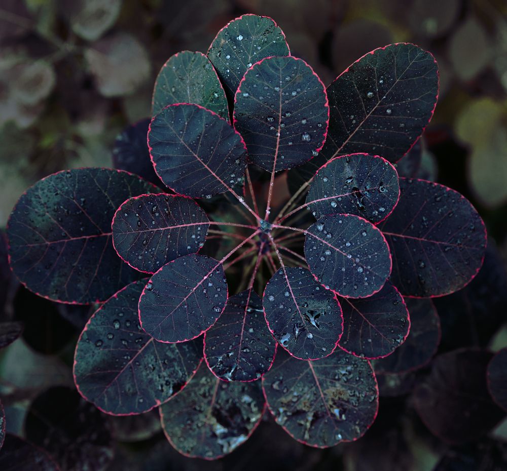 Photograph by Taтьяна Войлокова