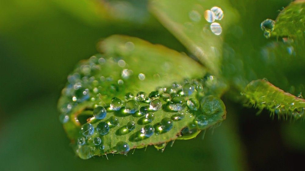 Photograph by константин