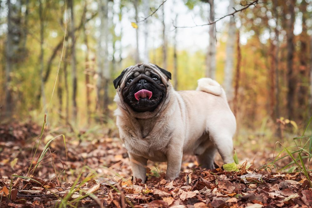 Photograph by Соколова Елена