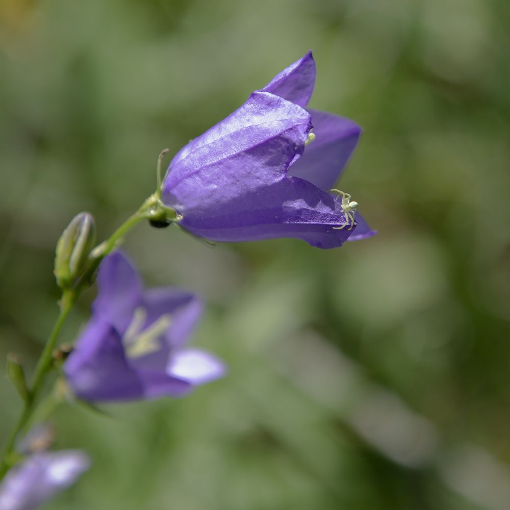 Photograph by Светлана Зайкова