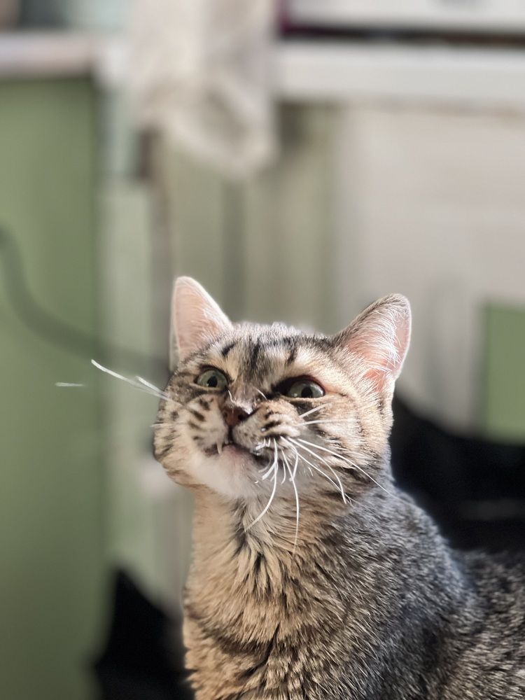 Photograph by Алёна Стародубцева