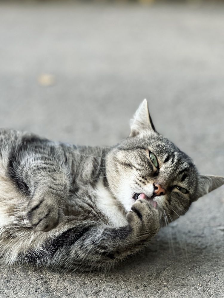 Photograph by Алёна Стародубцева