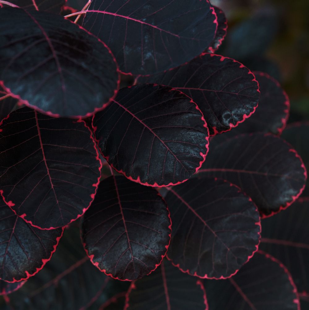 Photograph by Taтьяна Войлокова