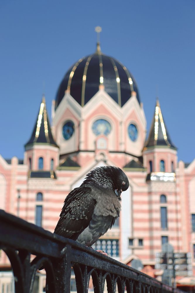 Photograph by Елена Демина