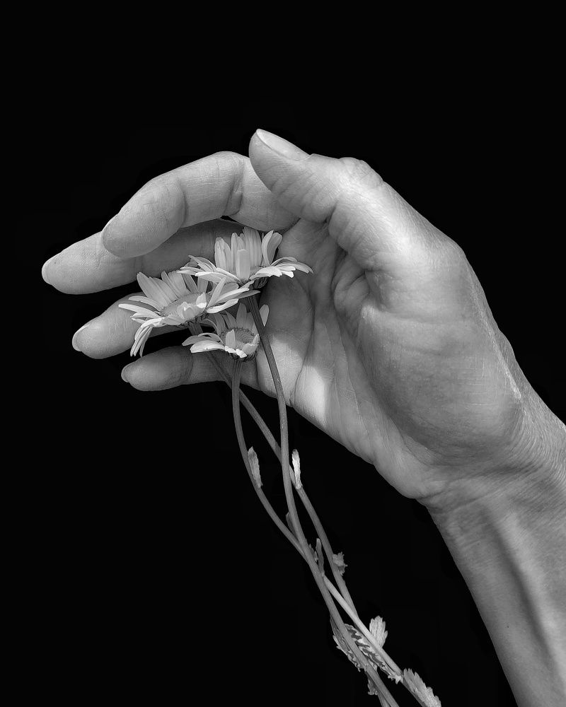 Photograph by Svetlana Yurasova