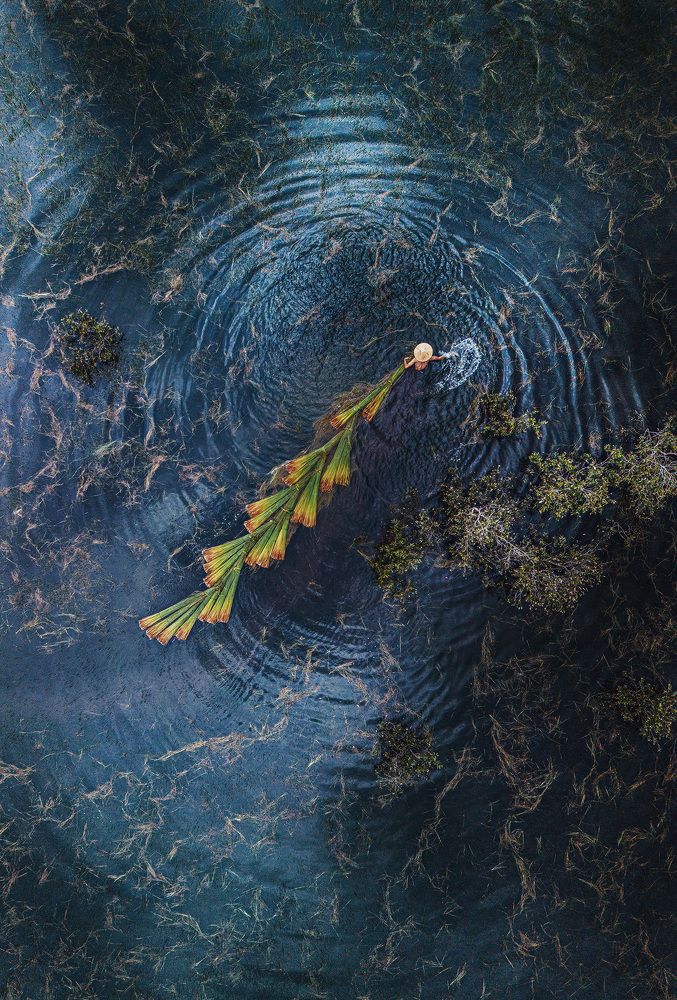 Season harvest in Mekong