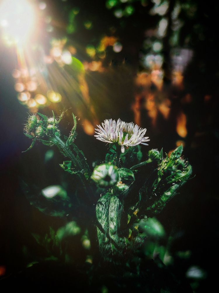 Photograph by Анастасия Белогурова