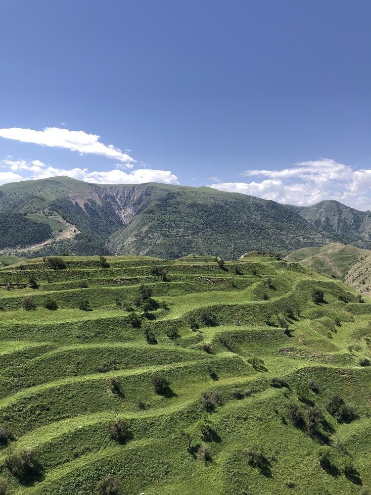 Photograph by Екатерина Усольцева