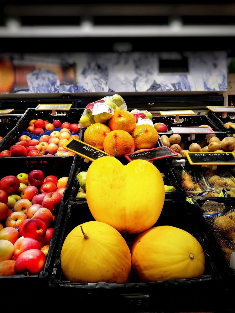 Фотография автора JELENA VASIC