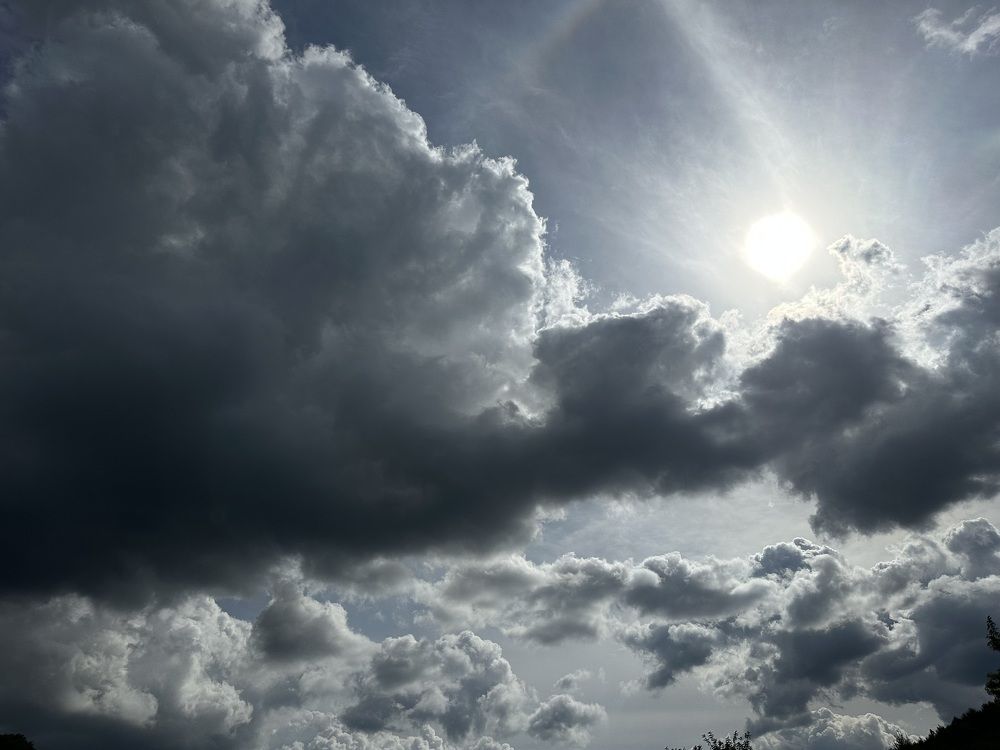 Photograph by Antony Lee