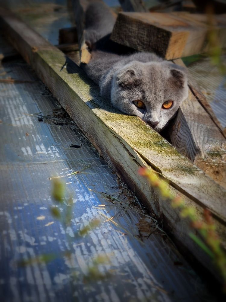 Photograph by Ольга