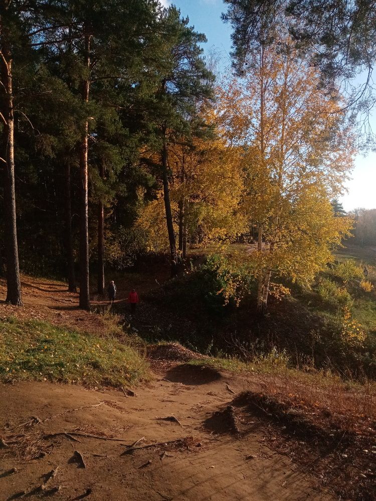 Photo #9763386
