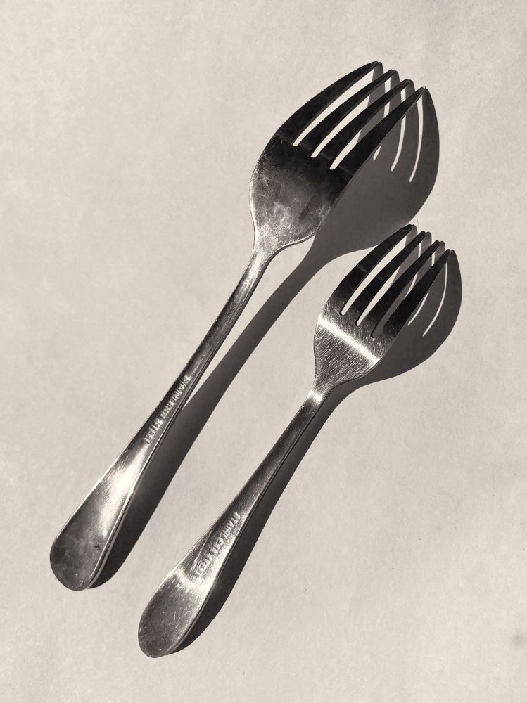 Photograph by Anastasiia