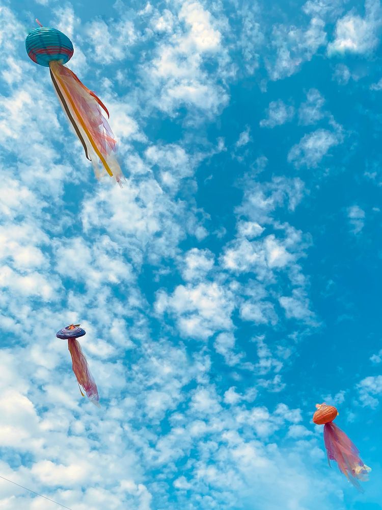 Photograph by Anastasiia