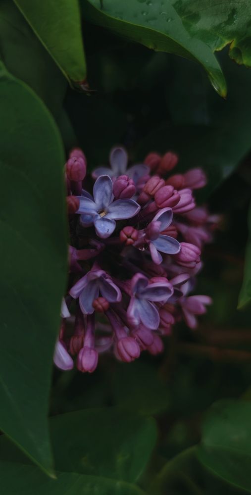 Фотография автора Ekaterina Sapezhinskaya