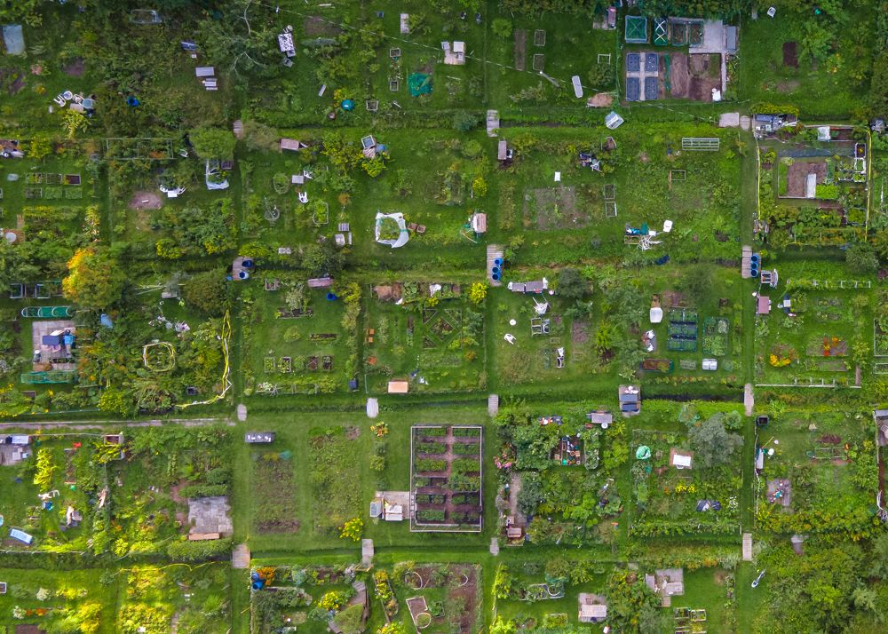 Photograph by Olga Smirnova