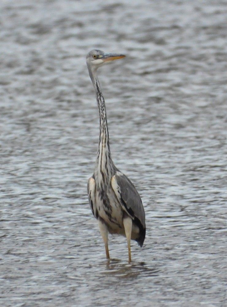 Photograph by Владимир Джерихов
