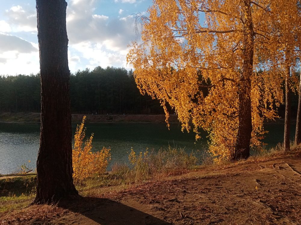 Photo #9763521