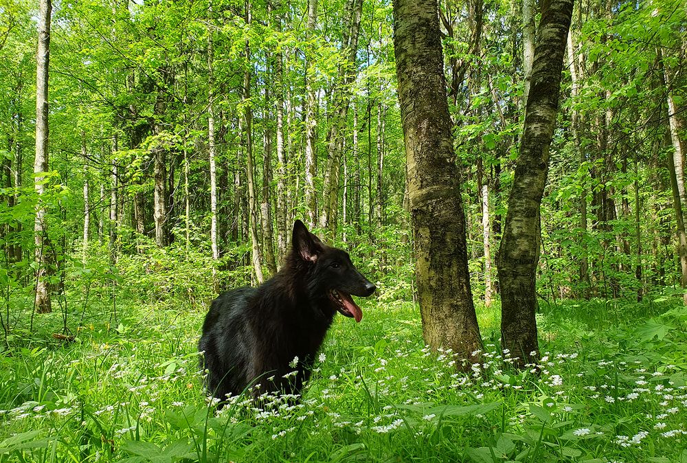 Фотография автора Надежда Лисицына