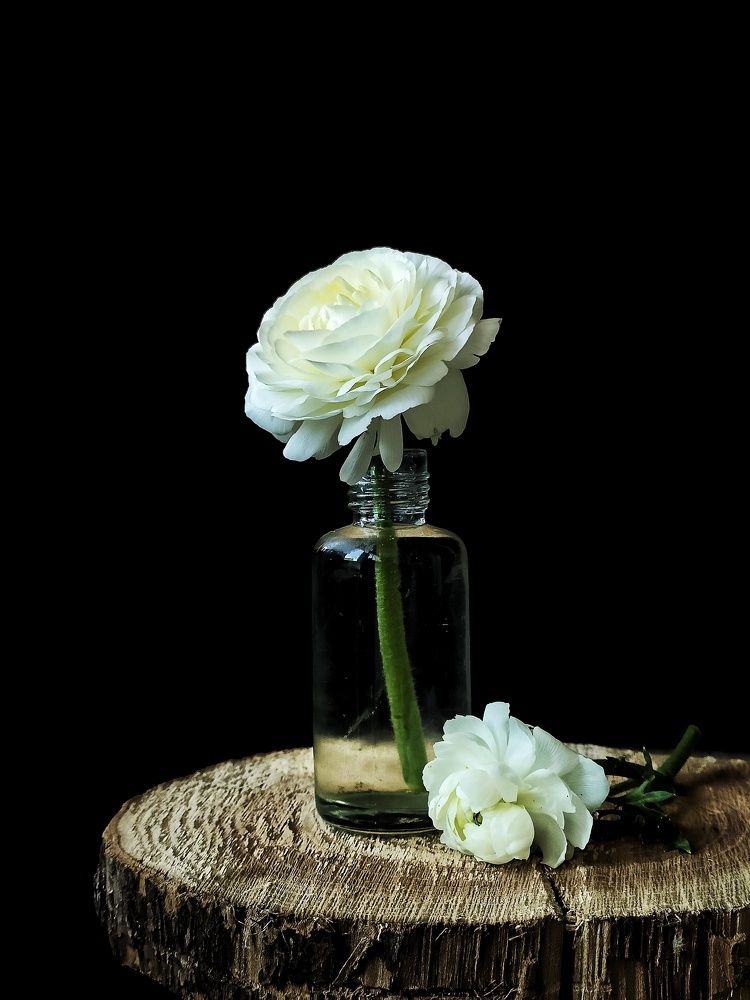 Photograph by Александра