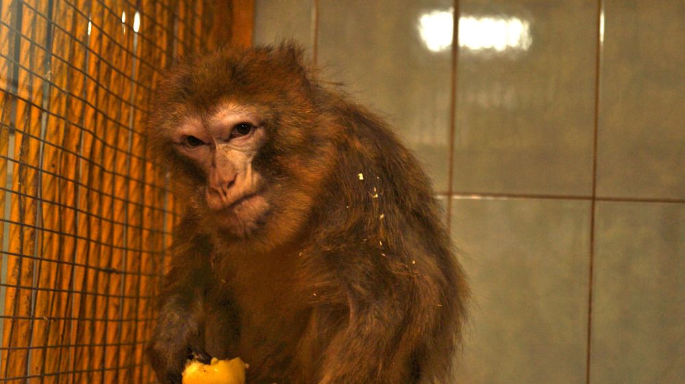 Photograph by Иван Кирилков