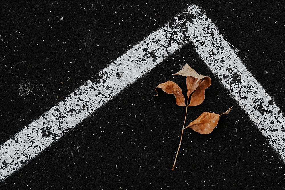 Photograph by Анастасия Глущенко