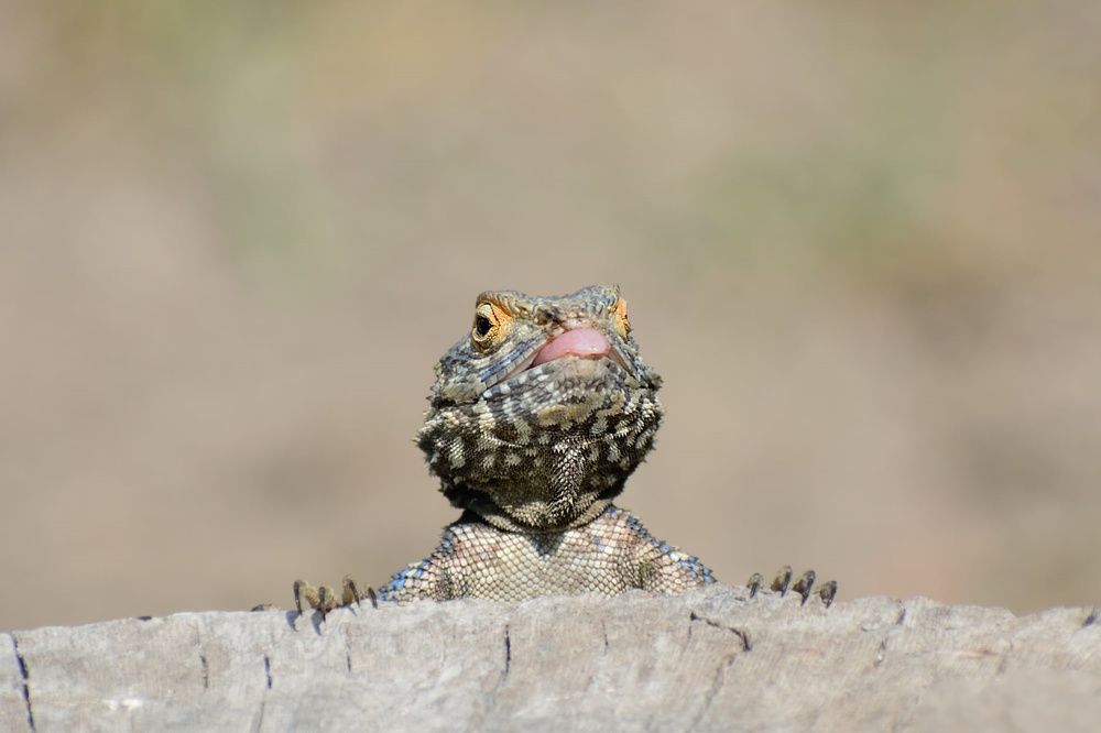 Photograph by Michael Lazaridis