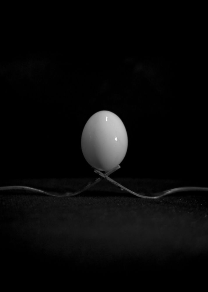 Photograph by Glorius Delima