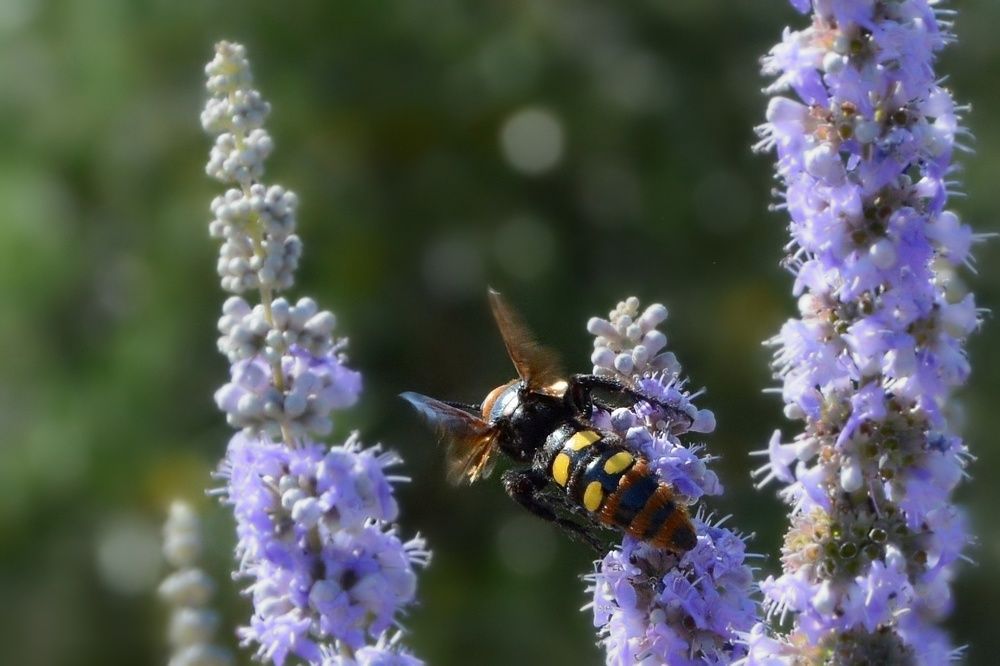 Photograph by Michael Lazaridis