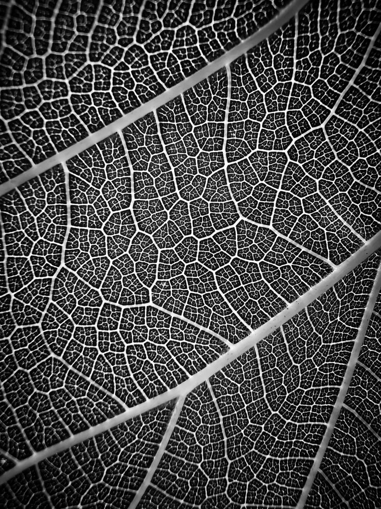 Photograph by Dimitrios Papadopoulos