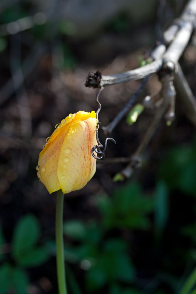 Photograph by Елена Чернова