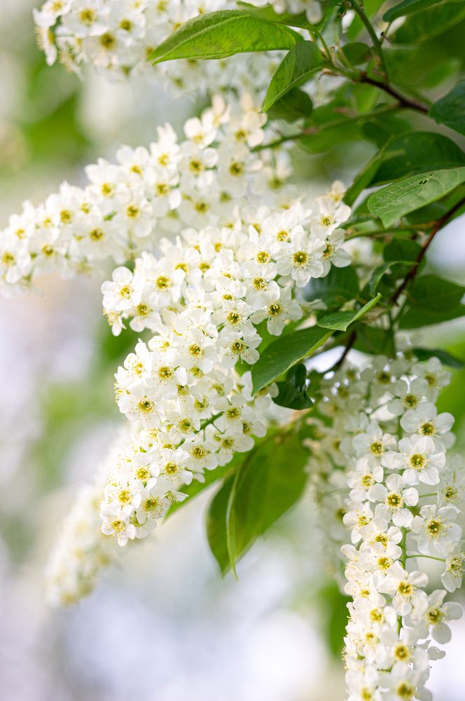 Photograph by Татьяна Бокарева