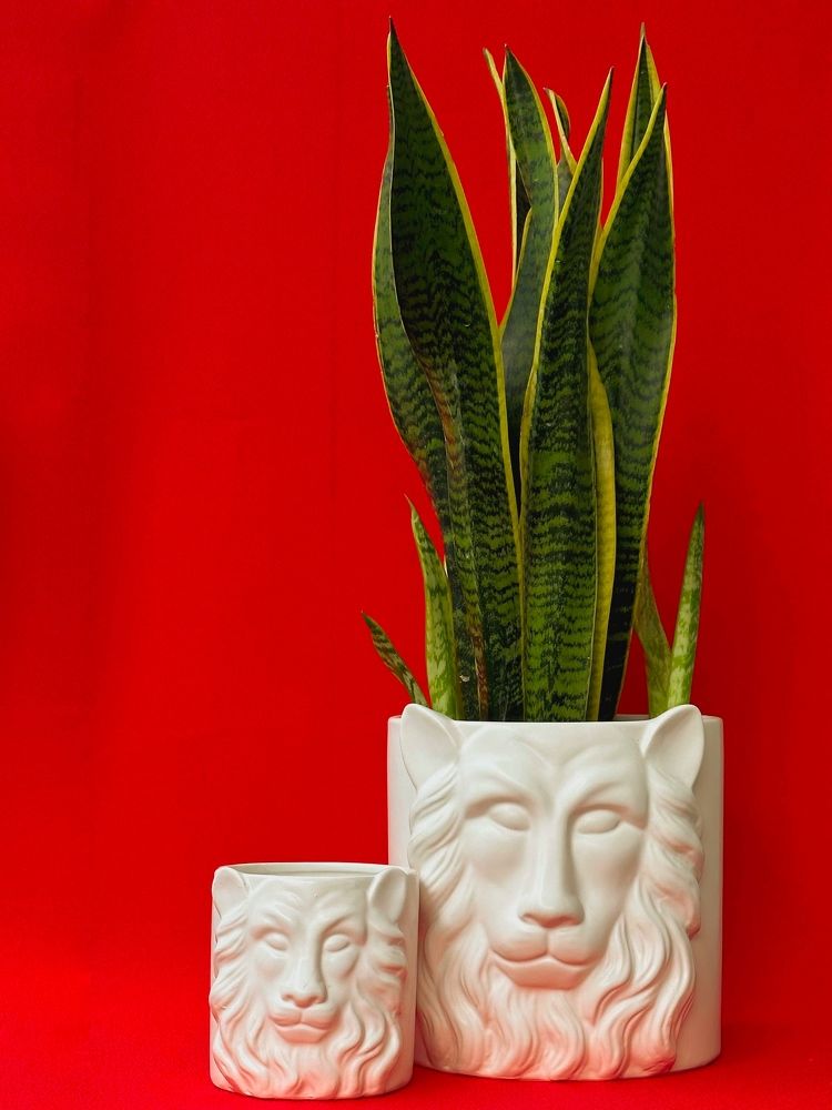 Фотография автора Anna Tikka