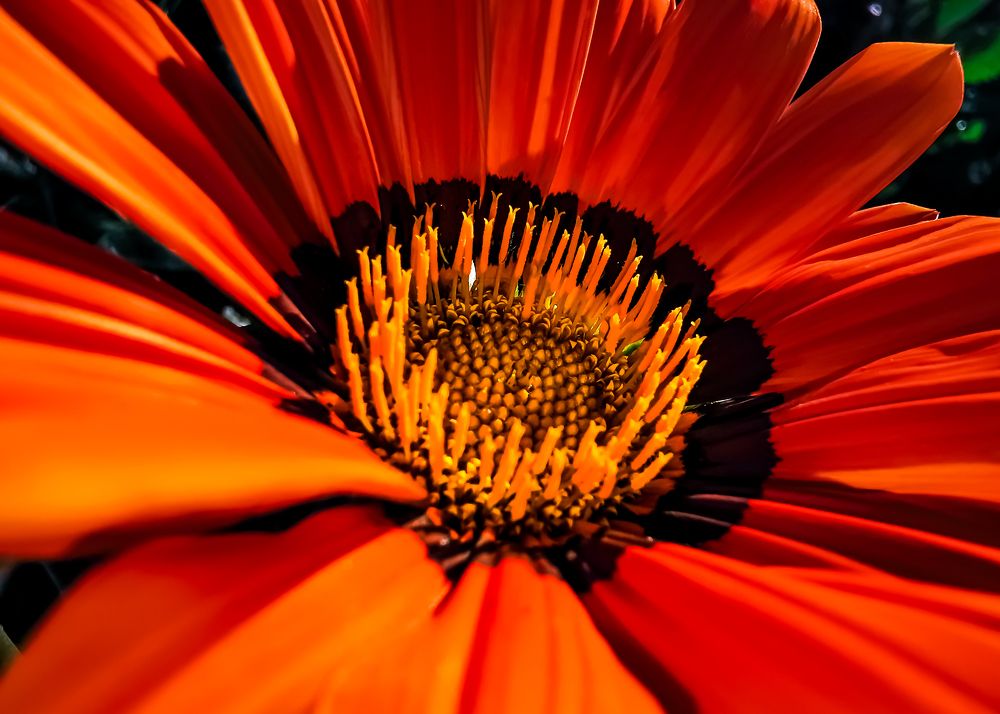 Photograph by Dimitrios Papadopoulos